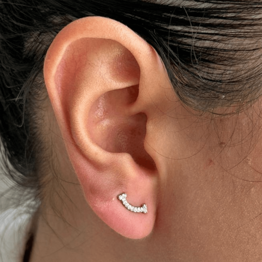 CRYSTAL ARC MAXI EARRINGS - ARETES - Malandra Jewelry - ZWA78.P - QX00829