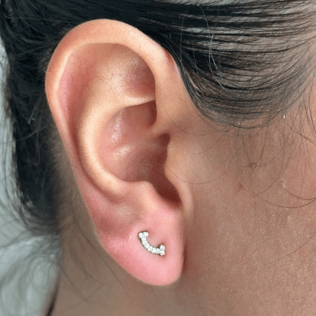 CRYSTAL ARC MIDI EARRINGS - ARETES - Malandra Jewelry - ZWA77.P - QX00829