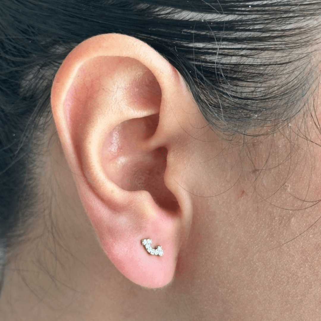 CRYSTAL ARC MINI EARRINGS - ARETES - Malandra Jewelry - ZWA76.P - QX00829