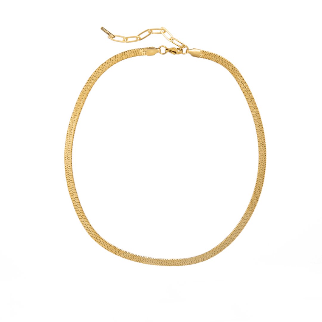 ESSENTIAL SNAKE GOLDEN NECKLACE - COLLARES - Malandra Jewelry - TC1690