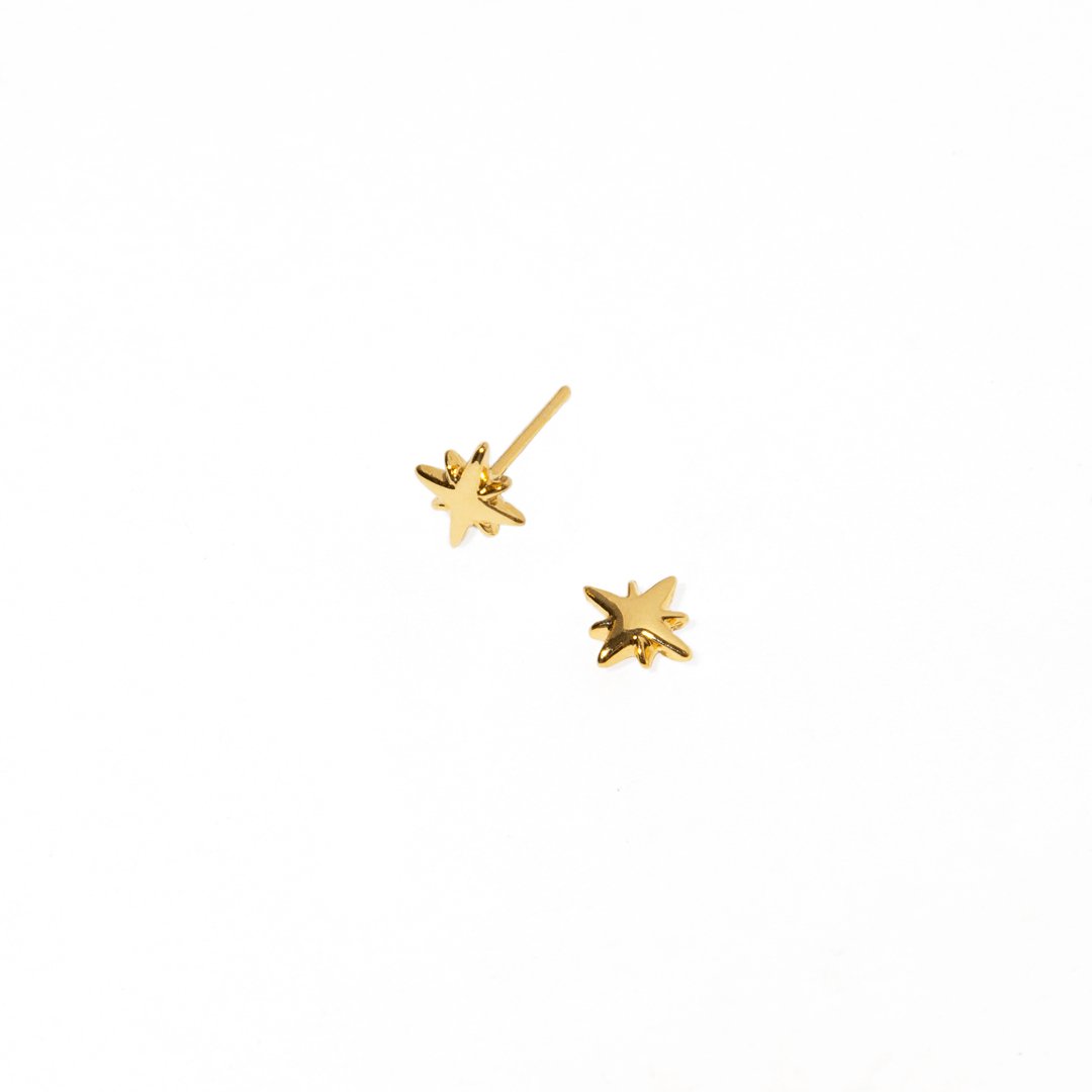 POLARIS STAR STUDS - ARETES - Malandra Jewelry - VCA142