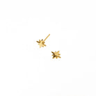 POLARIS STAR STUDS - ARETES - Malandra Jewelry - VCA142