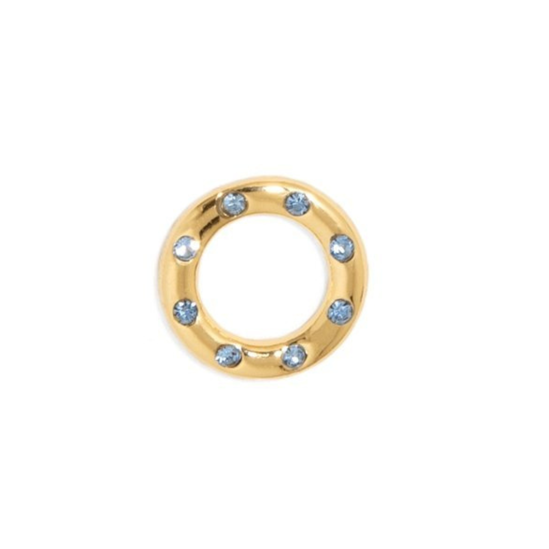 Blue & Gold Charm