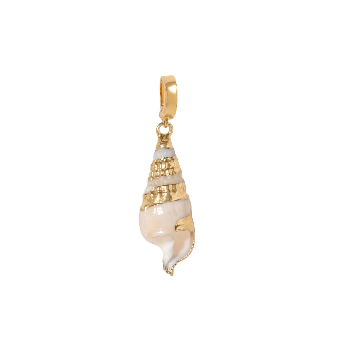 TIDAL SHELL CHARM