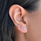 CLEAR CRYSTAL EARRINGS SET - ARETES - Malandra Jewelry - AA1561 - P44869