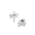 CRYSTAL SILVER SPARK EARRINGS - ARETES - Malandra Jewelry - ZOA22.P - N19140K8ZB
