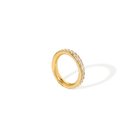 ETERNAL SHINE RING - ANILLOS - Malandra Jewelry - EUWR275.7-JDR2407019-7