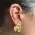 GOLDEN BLOOM PEARL EARRINGS - ARETES - Malandra Jewelry - EUWA197 - JDEW2410035