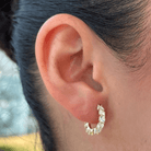 GOLDEN DAZZLE GLOW HOOPS - ARETES - Malandra Jewelry - ZWA95-QX02452