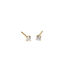 GOLDEN TWINKLE STUDS - ARETES - Malandra Jewelry - ZWA41 - QX01195Y
