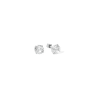 PETITE RADIANCE STUDS 7MM - ARETES - Malandra Jewelry - AA1565-T74027