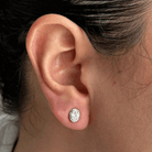 SILVER GLOW OVAL EARRINGS - ARETES - Malandra Jewelry - ZWA73.P - QX02196