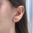 TINY CRYSTAL SILVER EARRINGS - ARETES - Malandra Jewelry - ZWA43.P - QX00878Y