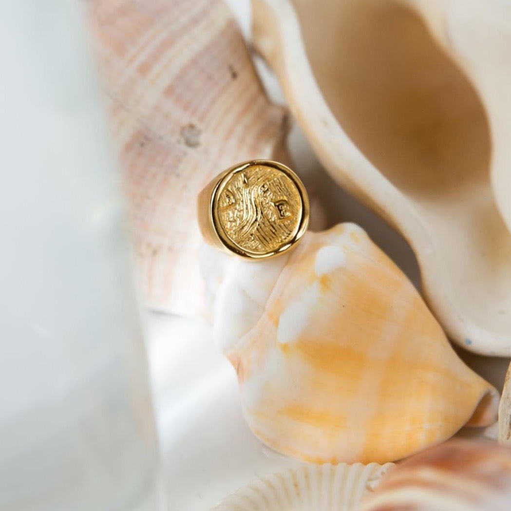 ADELE RING - ANILLOS - Malandra Jewelry - CR109.4