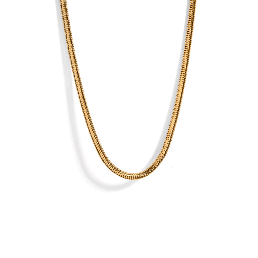 BOLD SNAKE GOLDEN NECKLACE - COLLARES - Malandra Jewelry - FBC323-C654A
